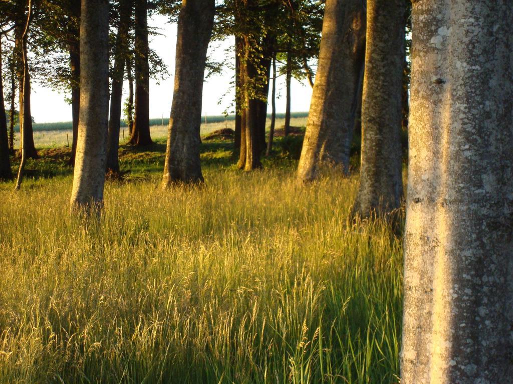 Saebyholms Gard Bed & Breakfast Laholm Bagian luar foto